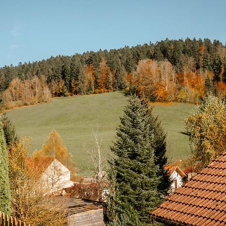 Les Hopitaux-NeufsTerrasse Des Monts - Duplex Independant De Charmeアパートメント エクステリア 写真